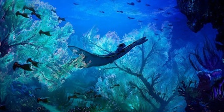 El primer trailer de “Avatar 2”