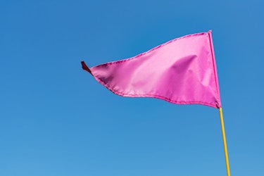 ¿Cuáles son las “pink flags” de una relación?