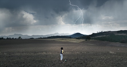 "El Eco", de la cineasta Tatiana Huezo: una mirada al campo y a las infancias que lo habitan