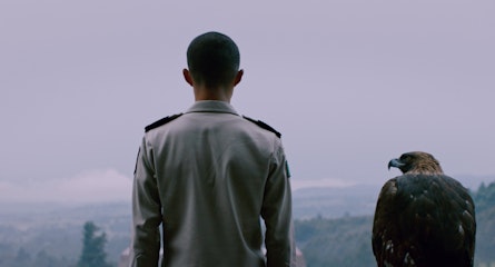 Seis películas mexicanas compiten en el Festival Internacional de Cine de San Sebastián