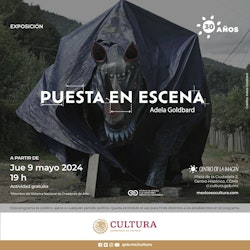 El Centro de la Imagen presenta la exposición antológica de la artista Adela Goldbard