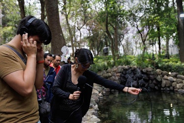 El sonido de la naturaleza se escucha en "Bosque Adentro"