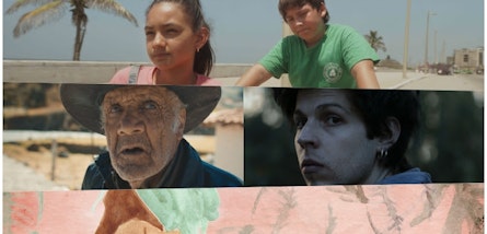 El FICM presentará una función especial en la 64ª Semana de la Crítica de Cannes
