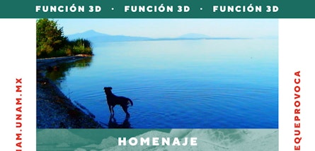 FICUNAM presenta función especial en 3D de "Adiós al lenguaje", de Jean-Luc Godard