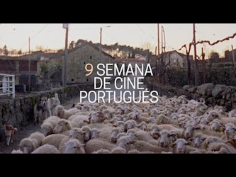Cineteca Nacional presenta por novena ocasión la Semana de Cine Portugués