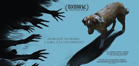 El fenómeno de terror “Good Boy: Confía en su Instinto” ya tiene fecha de estreno en México