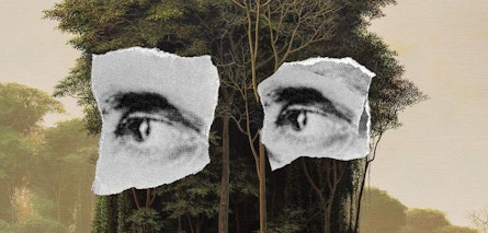 "Perseverancia", un retrato íntimo del pintor Tomás Sánchez a través de la mirada de Juan Carlos Martín