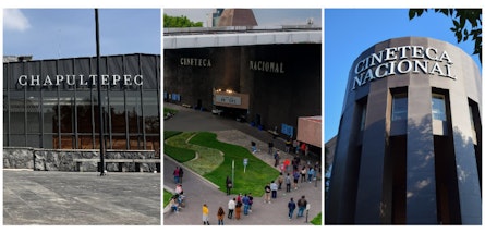 Cineteca Nacional 2025: Expansión y públicos en formación - Parte 1