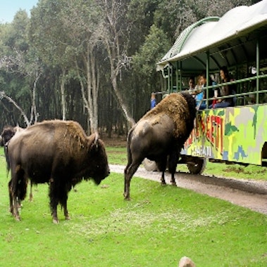 BIOPARQUE