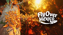 Fly Over México