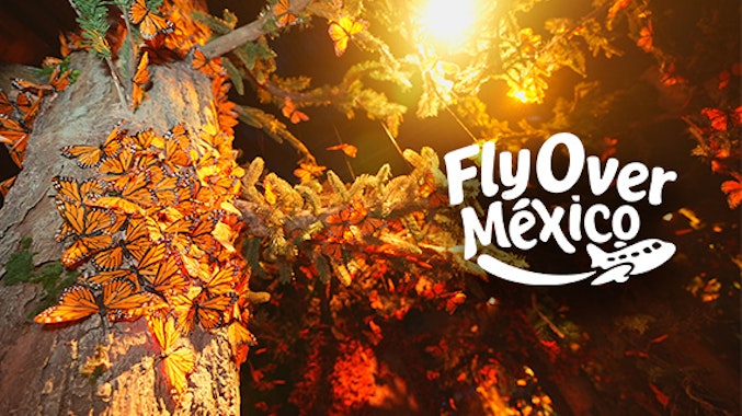 Fly Over México
