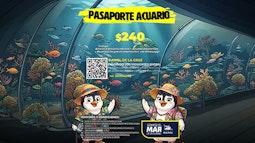 Acuario Inbursa
