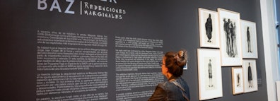 Marysole Wörner Baz regresa al Museo de Arte Moderno con una muestra sobre su legado artístico y activismo LGBTTTIQ+