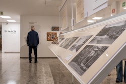 El Museo de Arte Carrillo Gil inaugura dos exposiciones sobre memoria y naturaleza