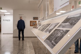 El Museo de Arte Carrillo Gil inaugura dos exposiciones sobre memoria y naturaleza