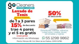 GO CLEANER
