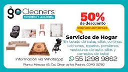 GO CLEANER