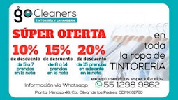 GO CLEANER