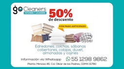 GO CLEANER