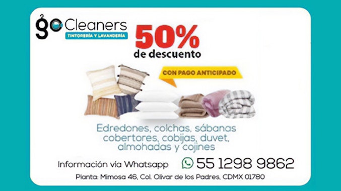 GO CLEANER
