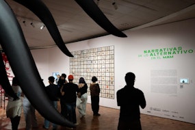El MAM revisita dos exposiciones de los años noventa y sus preocupaciones sobre el medio ambiente