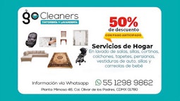 GO CLEANER