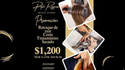 Pepe Reynoso, Beauty Studio