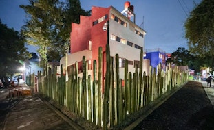 "La luz que habita" ilumina la noche del Museo Casa Estudio Diego Rivera y Frida Kahlo