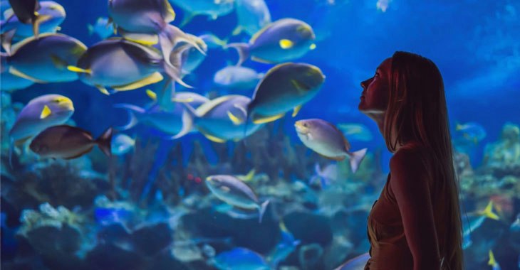 Acuario Inbursa