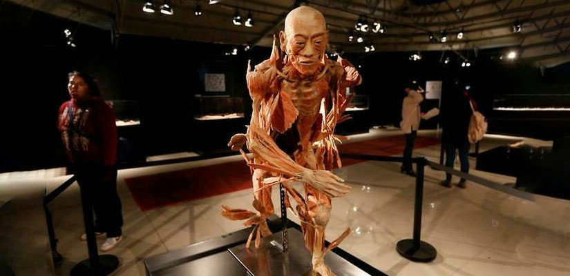 Our Body: El Universo dentro