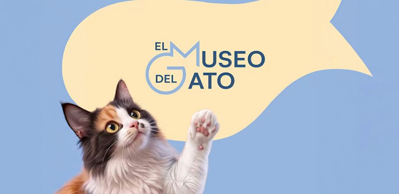 El Museo del Gato