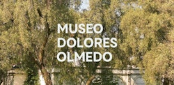 Museo Dolores Olmedo