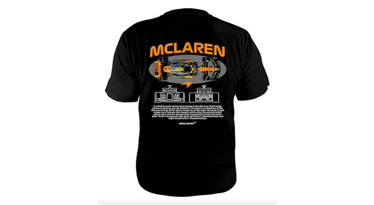PLAYERA F1.
