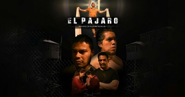 “El Pájaro”: Historia llena ilusiones y desesperanzas