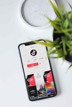 TikTokers de divulgación científica