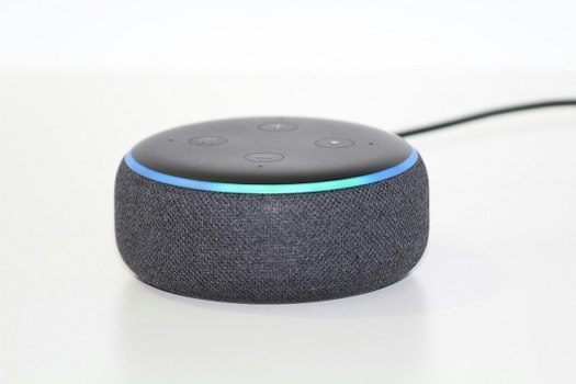 Conoce a Ziggy, el nuevo compañero de Alexa
