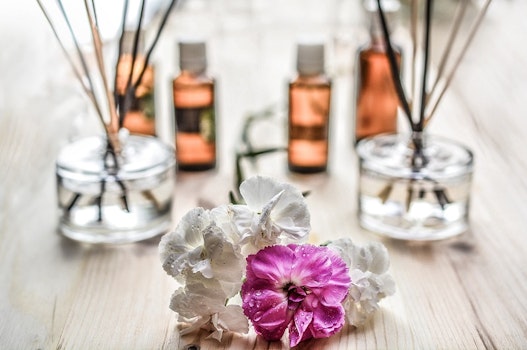 Aromas que tu hogar necesita