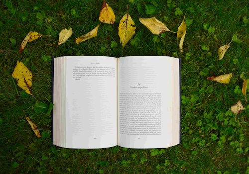 “Las 5 heridas que impiden ser uno mismo”, el libro para ser más compasivos con nosotros mismos