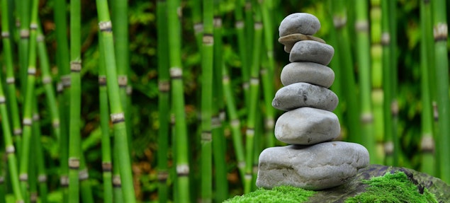 Plantas para crear el jardín zen perfecto