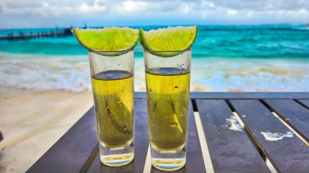 ¿Mezcal o tequila? Los primos más peleados