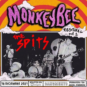 Conoce a los headliner de MonkeyBee Festival