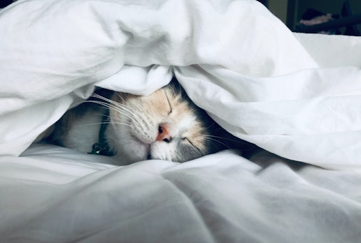 Algunos gadgets y apps para dormir mejor