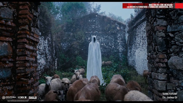 Muestra del Cine Mexicano con Medios Alternativos 2022