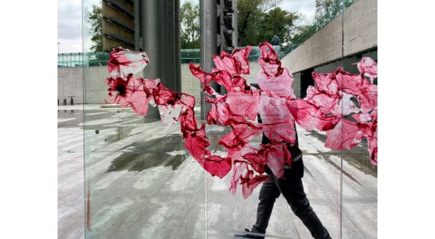 El CCD en la CDMX te invita a conocer la pieza virtual Aislada, en el marco de la 51 edición del Festival Internacional Cervantino