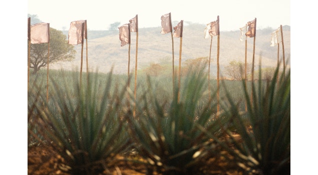 Akamba: naturaleza, música y consciencia ambiental