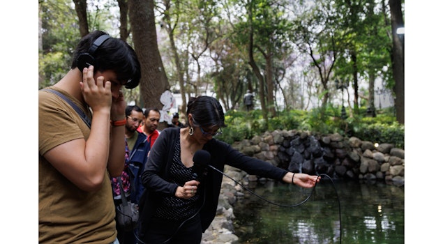 El sonido de la naturaleza se escucha en "Bosque Adentro"