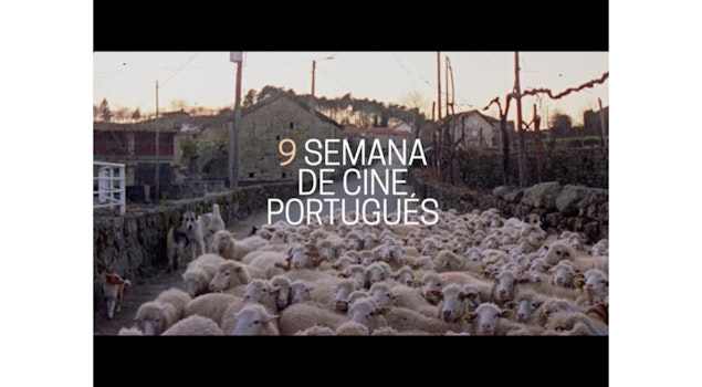 Cineteca Nacional presenta por novena ocasión la Semana de Cine Portugués