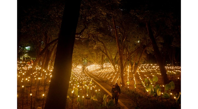 Rafael Lozano-Hemmer transforma el Museo de Arte Moderno con "Jardín inconcluso"