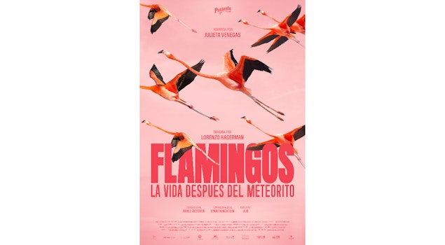 En el Día Mundial de la Naturaleza se anunció el estreno de "Flamingos"