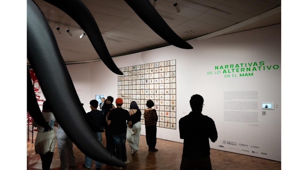 El MAM revisita dos exposiciones de los años noventa y sus preocupaciones sobre el medio ambiente